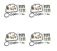 TXCJNIU Kit De Réparation De Carburateur pour XT225 2001-2007 XT 225, Système d'alimentation en Carburant, Joint De Siège D'aiguille Flottante, Vis d'air, Pièces