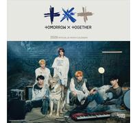 TXT Official | Calendrier mural mensuel carré 2026 30,5 x 61 cm | Sans plastique | BrownTrout | K-Pop Korean Boy Band Temptation
