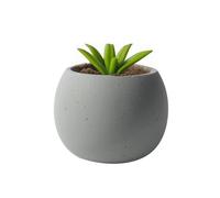 TXVOWYGWX Grand Pot de Fleurs Pot de Fleurs en céramique avec Drainage Plantes d'intérieur(Gray,Outer Φ5.5)