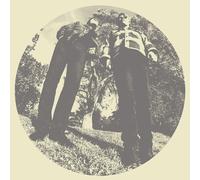 Ty Segall & White Fence - Hair by Ty Segall & White Fence (2012) Audio CD