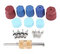 Tyatocepy 17 PièCes Kit de Noyau de Valve de Climatisation Accessoires de Noyaux de Valve A/C R12 R134A Outil de Suppression de Noyau de Tige de Valve de RéFrigéRation