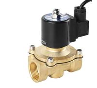 TYBOPHQJ Électrovanne en Laiton étanche de 1" Électrovannes de Fontaine normalement fermées for sous-Marine 220 V 110 V 24 V 12 V 24 V(BSP-24VDC-EPDM-SEAL)