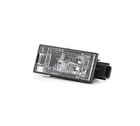 TYC 15-0221-00-2 Éclairage de plaque d'immatriculation W5W côté conducteur ou passager Compatible avec MERCEDES-BENZ Citan Van W415 Citan Tourer/Break 415 Citan Mixto W415, OPEL Movano B Van X62