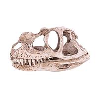 TYCIONG Crâne de dinosaure, os de dinosaure, réplique en résine, sculptures de tête, modèle squelette de dinosaure, statue décoration de bureau à domicile, bibliothèque, présentoir d'étagère