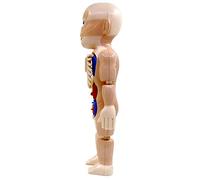 TYCIONG Jouet D'anatomie Passionnant, Kit d'apprentissage des Organes du Corps Humain assemblé à Monter Soi-même pour étudiants, 1 Ensemble de Jouets éducatifs pour Enfants (Un Seul Produit avec