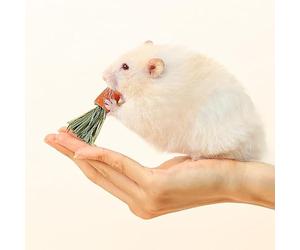 Tyenaza 3pcs Hamster mâches Jouet, carot Hamster Bars de Dentition ingrédients drôles Carotte nutritionnelle, pour Hamsters, Lapins, cobayes