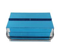 Tyenaza Boîte De Rangement D'outils, 2 Couches 3 Plateaux en Acier Inoxydable en Porte-à-Faux Boîte à Outils Pliante Valise D'accessoires(460 x 200 x 100mm)