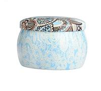 Tyenaza Boîtes à thé colorées pour thé/graines/café et plus encore, récipient de sucre de récipient de thé de bidon en métal de style national pour la boîte-cadeau ou la boîte à bijoux(B)