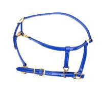 Tyenaza Licol de Cheval en Cuir synthétique, Bride de Cheval, 20 mm, Double Couche, avec Boucle en Alliage, Facile à Nettoyer, Bleu, pour l'entraînement, la compétition, l'équitation