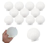 TYEQWT Blanc Coquilles Saint-Jacques 12 Pièces, 10-12cm Naturel Grand Coquille, Décorations de Coquille Coquillages, Coquilles de Première pour Mariage de Plage et Océan Crafts la Décoration