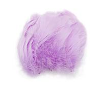 TYEQWT Lot de 400 Plumes Violette Claire Naturelles, 6-12cm Plumes Loisirs Creatifs, Plumes Décoratives Douces pour Attrape-Rêves, Mariage & Bricolage de Chapeaux (Lavande Très Pâle)