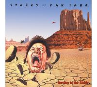 TYGERS OF PAN TANG - BURNING IN THE SHADE (CRYSTAL CLEAR) VINYL LP NEUF