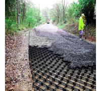 TYHAYJYK Stabilisateur de Sol en Gravier, système de pavés perméables de 2 Pouces de Profondeur, stabilisateur de Sol pour trottoirs de 1/2/3/4/5/6/7/8/9/10 m, avec Trous de Dispersion des