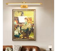TYhogar Applique Murale LED Miroir Salle de Bain 60 cm 12 W 3000K Couleur Laiton Interrupteur Bras Réglable IP44 Pour Tableaux et Vitrines Lampe de Lecture
