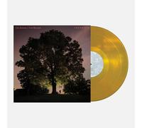Tyler Ramsey & Carl Broemel - Celestun - Gold