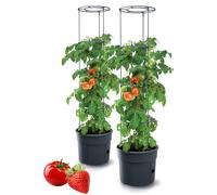 Tymar Lot de 2 pots à tomates - Avec support pour plantes grimpantes et réservoir d'eau - Diamètre 40 cm