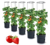 Tymar Lot de 5 pots à tomates - Pour balcon - Avec tuteur et réservoir d'eau - Diamètre : 30 cm
