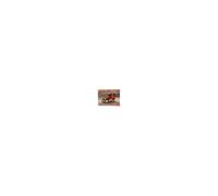 Type Ag 1910 Paris Taxi - 1:24e -