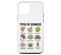 Types d'algues, Tableau des espèces d'algues, Types d'algues Marines Coque pour iPhone 12 Mini