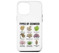 Types d'algues, Tableau des espèces d'algues, Types d'algues Marines Coque pour iPhone 12 Pro Max