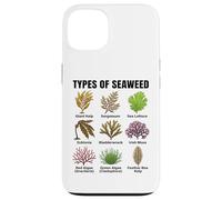 Types d'algues, Tableau des espèces d'algues, Types d'algues Marines Coque pour iPhone 13