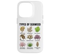Types d'algues, Tableau des espèces d'algues, Types d'algues Marines Coque pour iPhone 14 Pro