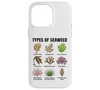 Types d'algues, Tableau des espèces d'algues, Types d'algues Marines Coque pour iPhone 14 Pro Max