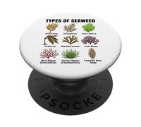 Types d'algues, Tableau des espèces d'algues, Types d'algues Marines PopSockets PopGrip Adhésif