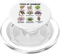 Types d'algues, Tableau des espèces d'algues, Types d'algues Marines PopSockets PopGrip pour MagSafe