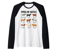 Types de Collection de Races bovines Manche Raglan