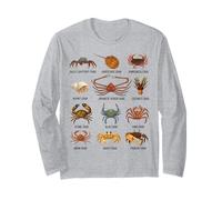 Types de crabes Espèces éducatives de Crabe Faune Marine Manche Longue