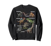 Types de Dinosaures Graphiques d'identification Dinosaure Enfant Sweatshirt
