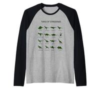 Types de Dinosaures : T-Rex Raptor, école, Maternelle Manche Raglan