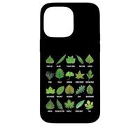 Types de Feuilles d'arbres Biologie Nature Éducatif Coque pour iPhone 14 Pro Max