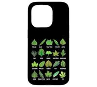 Types de Feuilles d'arbres Biologie Nature Éducatif Coque pour iPhone 15 Pro