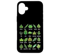 Types de Feuilles d'arbres Biologie Nature Éducatif Coque pour iPhone 16 Plus