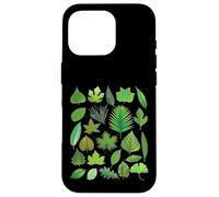 Types de Feuilles d'arbres Biologie Nature Éducatif Coque pour iPhone 16 Pro
