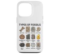 Types de fossiles Graphique Paléontologie Science Amoureux des fossiles Coque pour iPhone 13 Pro
