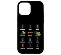 Types de Fourmis, Tableau des espèces de Fourmis, Science des Insectes, entomologie Coque pour iPhone 12 Pro Max