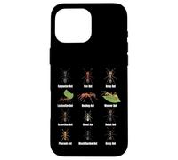 Types de Fourmis, Tableau des espèces de Fourmis, Science des Insectes, entomologie Coque pour iPhone 16 Pro Max