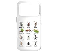 Types de Fourmis, Tableau des espèces de Fourmis, Science des Insectes, entomologie Coque pour iPhone 17 Pro