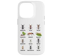 Types de Fourmis, Tableau des espèces de Fourmis, Science des Insectes, entomologie Coque pour iPhone 14 Pro