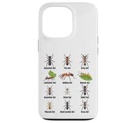 Types de Fourmis, Tableau des espèces de Fourmis, Science des Insectes, entomologie Coque pour iPhone 13 Pro