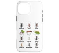 Types de Fourmis, Tableau des espèces de Fourmis, Science des Insectes, entomologie Coque pour iPhone 16 Pro Max