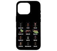 Types de Fourmis, Tableau des espèces de Fourmis, Science des Insectes, entomologie Coque pour iPhone 16 Pro