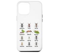 Types de Fourmis, Tableau des espèces de Fourmis, Science des Insectes, entomologie Coque pour iPhone 12 Pro Max