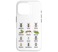 Types de Fourmis, Tableau des espèces de Fourmis, Science des Insectes, entomologie Coque pour iPhone 16 Pro