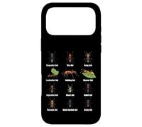 Types de Fourmis, Tableau des espèces de Fourmis, Science des Insectes, entomologie Coque pour iPhone 17 Pro Max