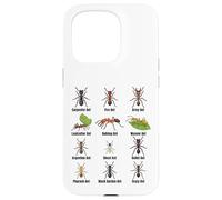 Types de Fourmis, Tableau des espèces de Fourmis, Science des Insectes, entomologie Coque pour iPhone 15 Pro