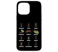 Types de Fourmis, Tableau des espèces de Fourmis, Science des Insectes, entomologie Coque pour iPhone 13 Pro Max